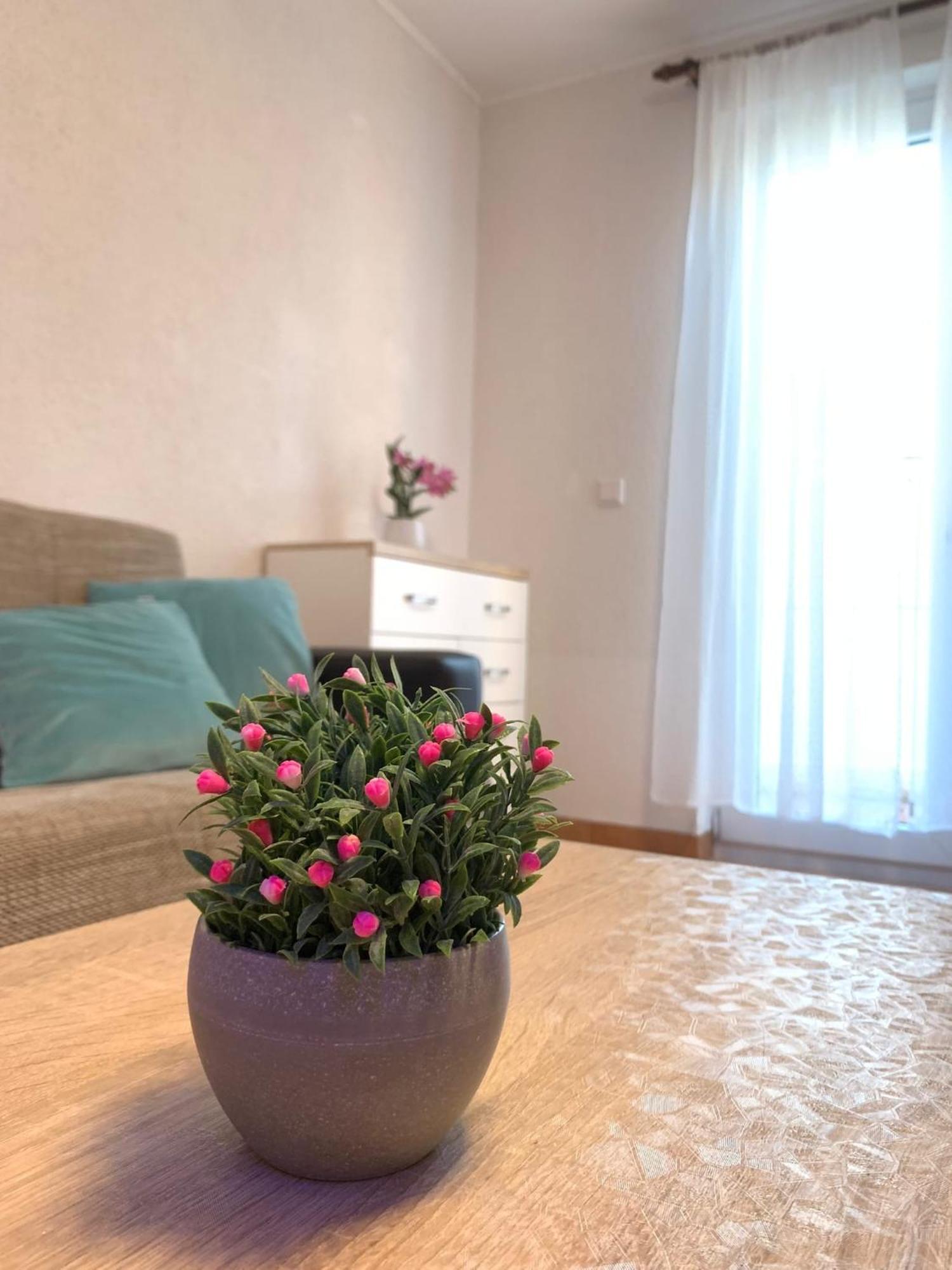 Apartment Jozipovic